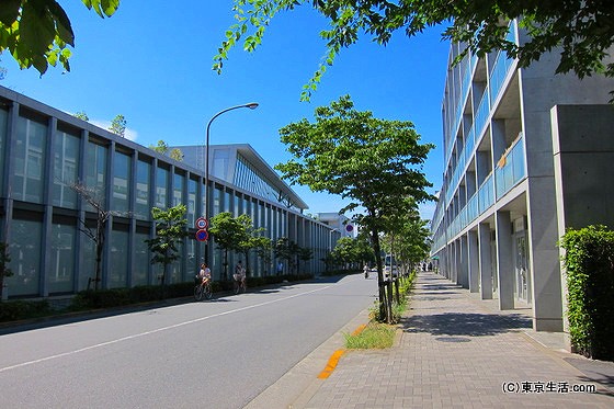 仙川の散歩|女子大生と安藤忠雄ストリートの画像