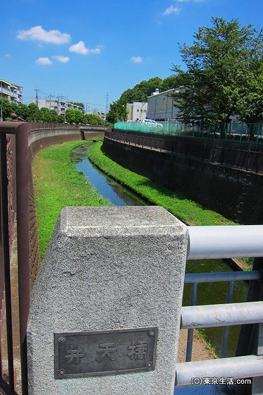 仙川を流れる仙川