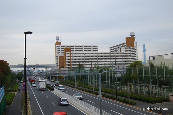 新小岩の団地