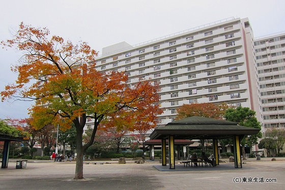 新小岩の住宅|昔からの住宅街と大団地。新しい住宅もの画像