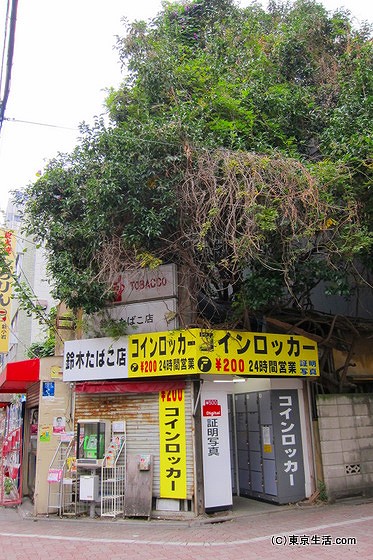 新小岩のタバコ店