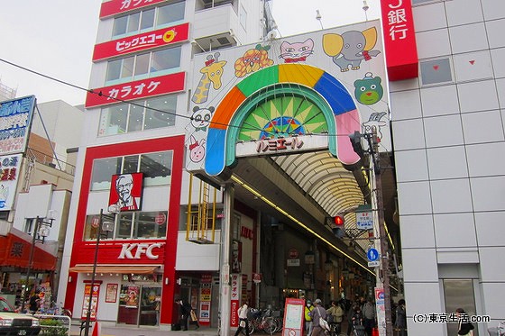 新小岩駅周辺|買い物に便利なルミエール商店街の画像