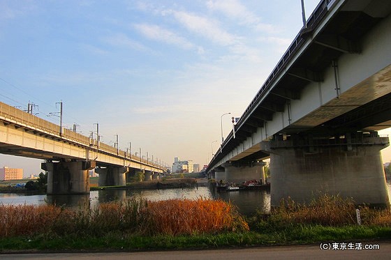 国道１７号と新幹線が走る