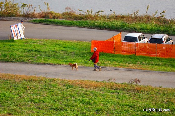 荒川の土手で犬の散歩