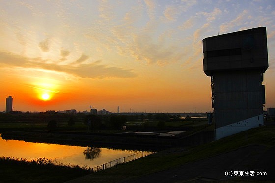 荒川の夕陽