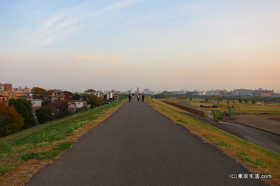 荒川の土手で運動