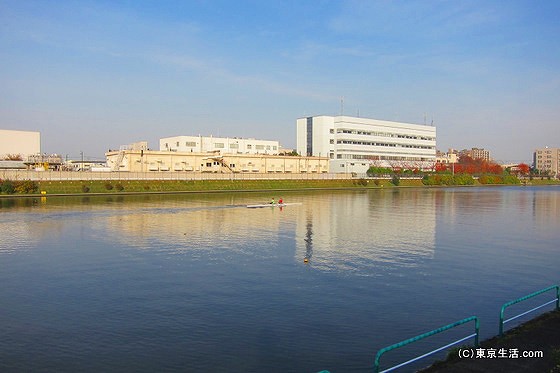 戸田公園のボートエリア