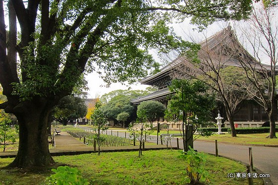 総持寺の伽藍