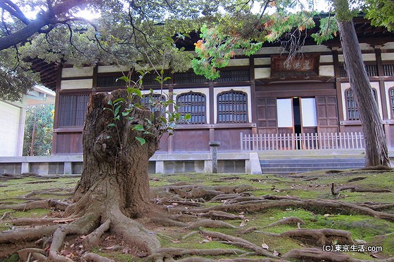 総持寺の大僧堂