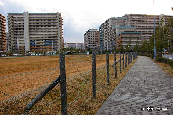 集合住宅の街である浦安