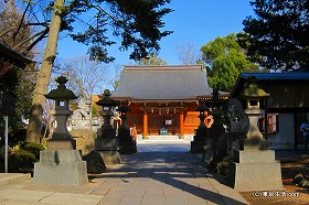 蕨の名前の由来!?歴史を巡る散歩|和楽備神社