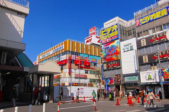 蕨に住む|蕨の画像