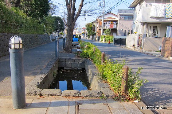 蕨の住宅街の堀