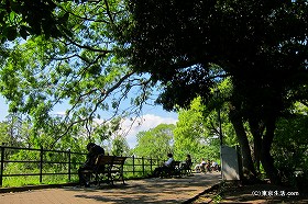 ビジネス街のオアシス！昼下がりの日比谷公園|日比谷公園