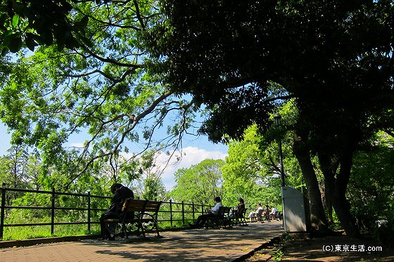 日比谷公園|ビジネス街のオアシス！昼下がりの日比谷公園の画像