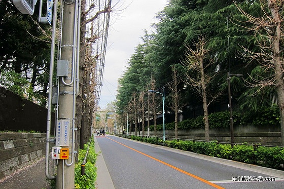 閑静な護国寺