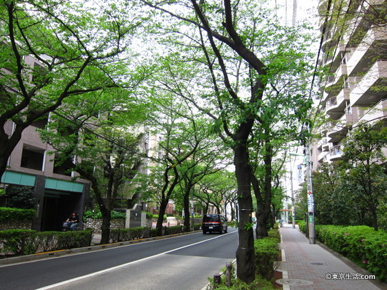 千歳船橋のマンション