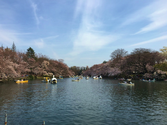 井の頭公園