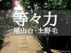 等々力の暮らし - 住みやすい街は？ - 東京生活.com