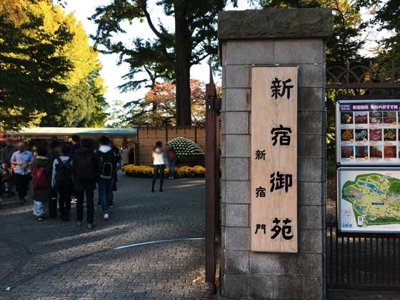 新宿御苑は散歩やピクニックデートに最高の画像