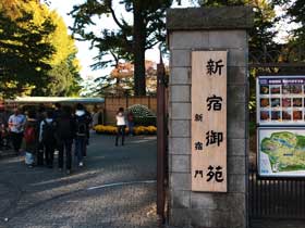 新宿御苑は散歩やピクニックデートに最高|行き方