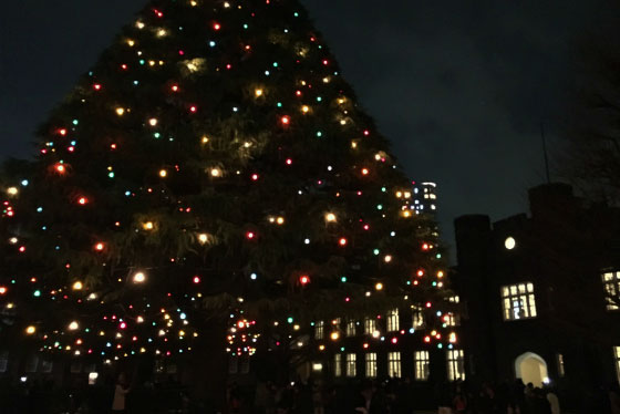 クリスマス|立教大学イルミネーションの点灯時間と行き方の画像