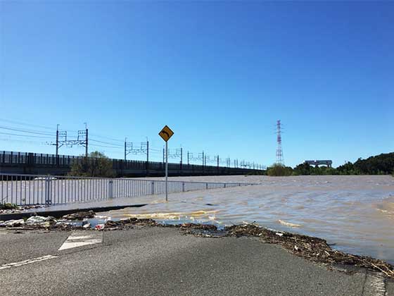 令和元年台風19号により水が溢れた荒川