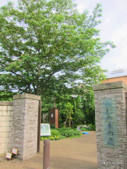 池田山の高級住宅街