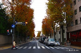 調布の暮らし - 住みやすい街は？